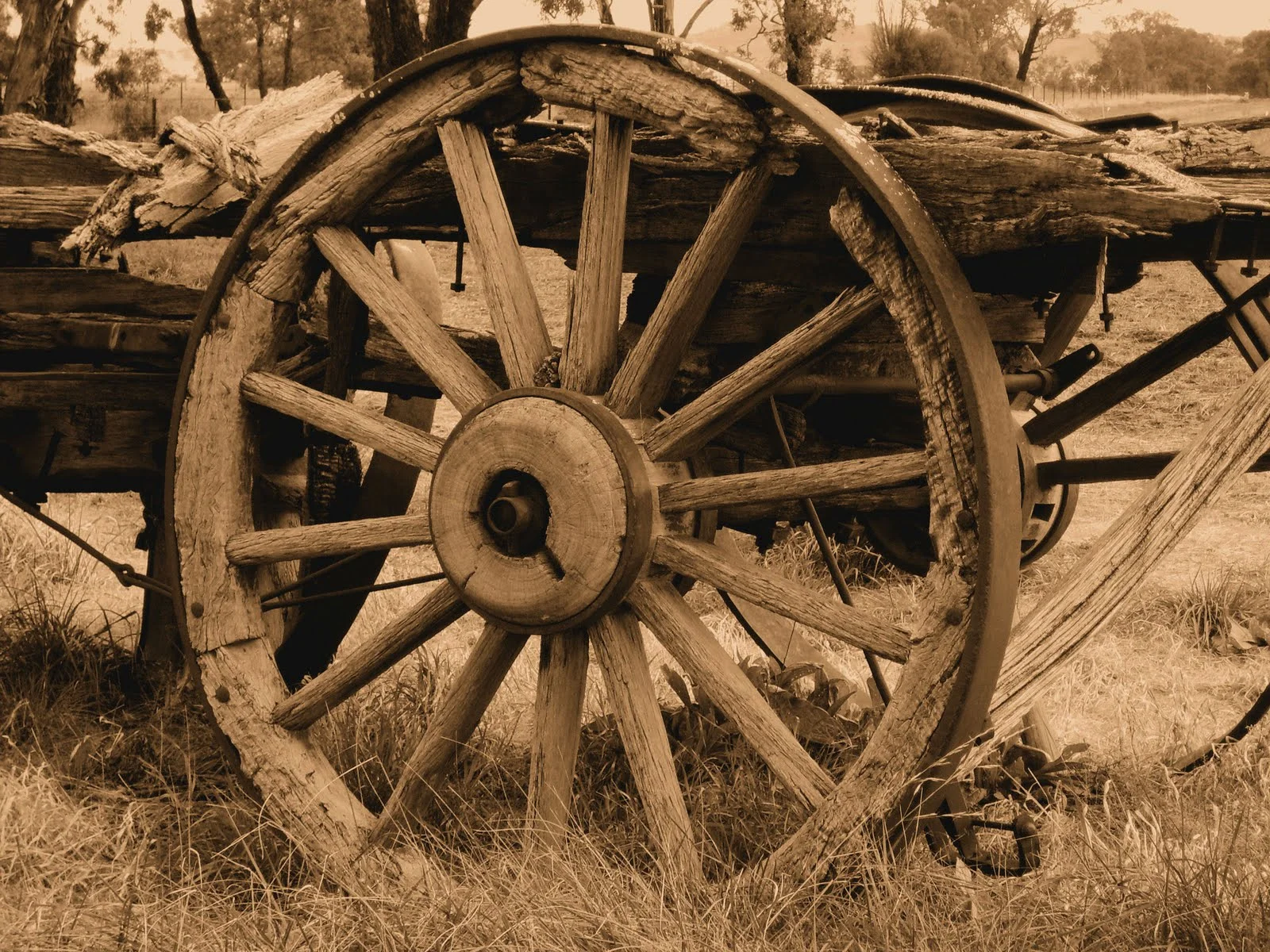 wagon-wheel.jpg