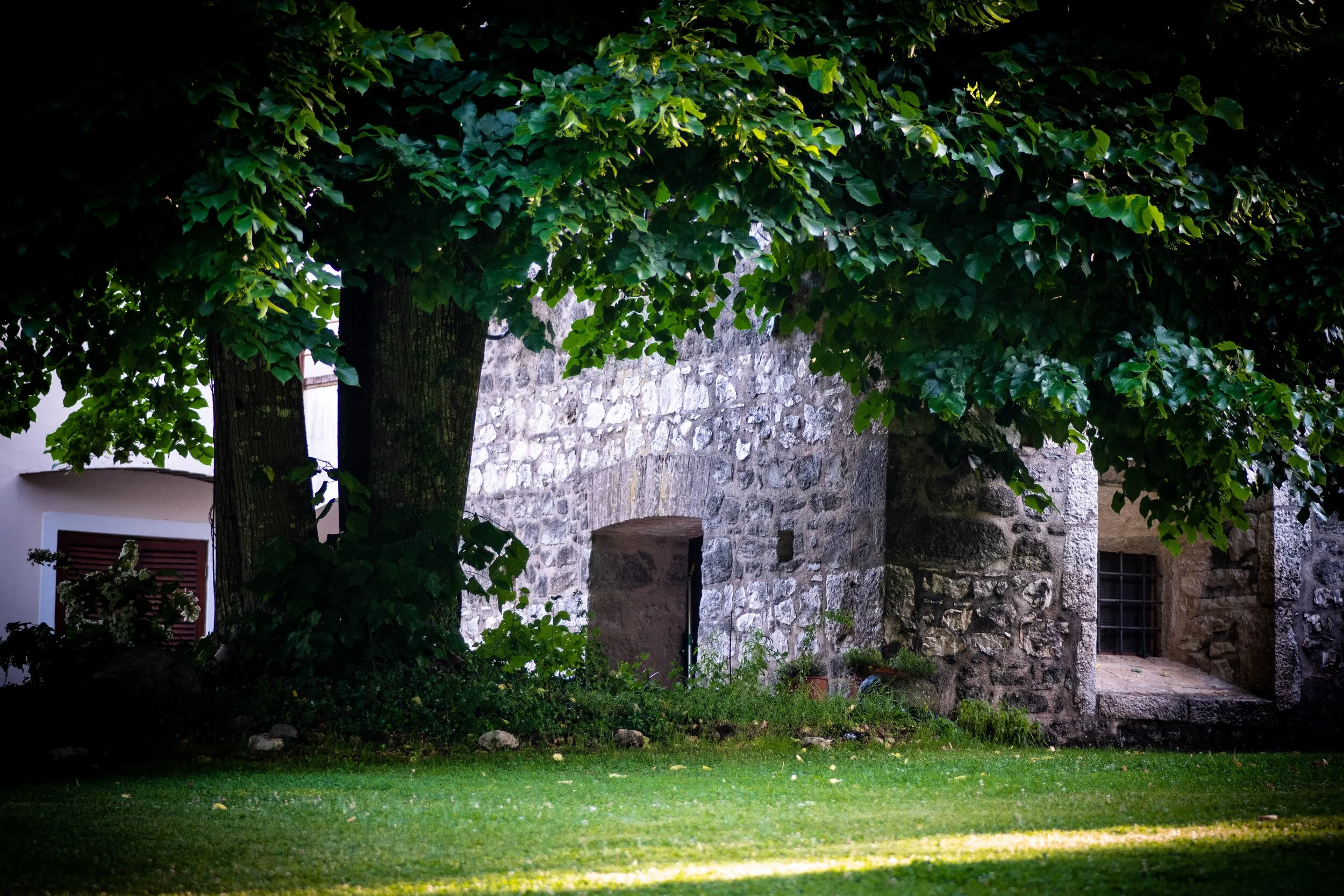 Circle in historical Slovenian Village Councils