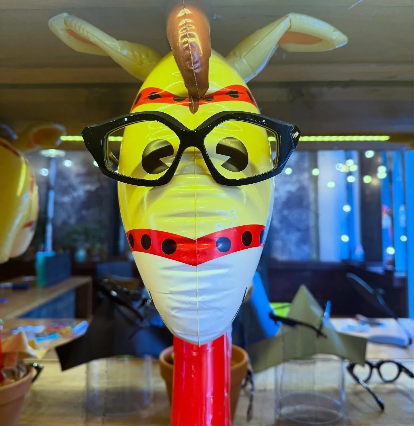 Horsing around @niloca_eyewear