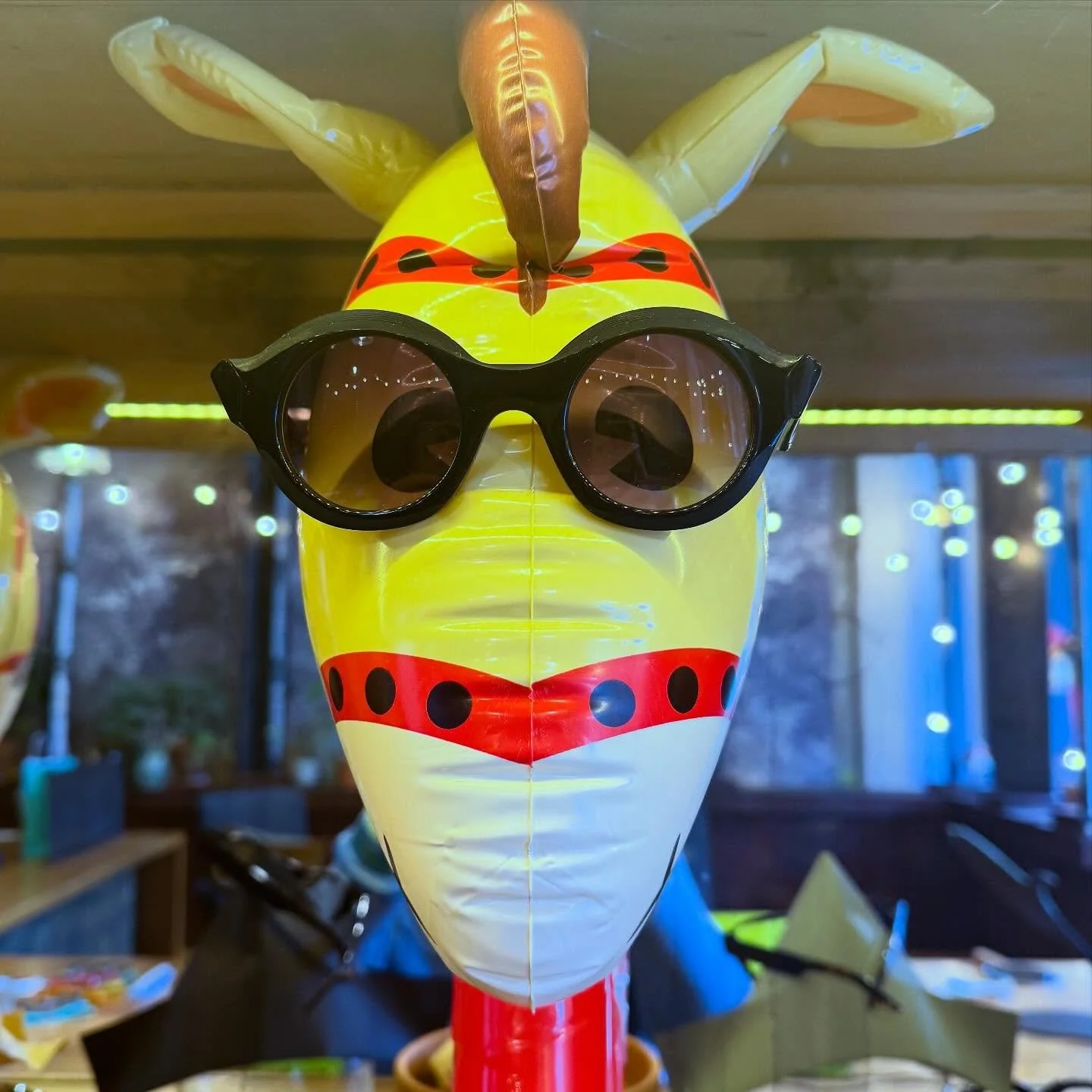 Saddle up @niloca_eyewear