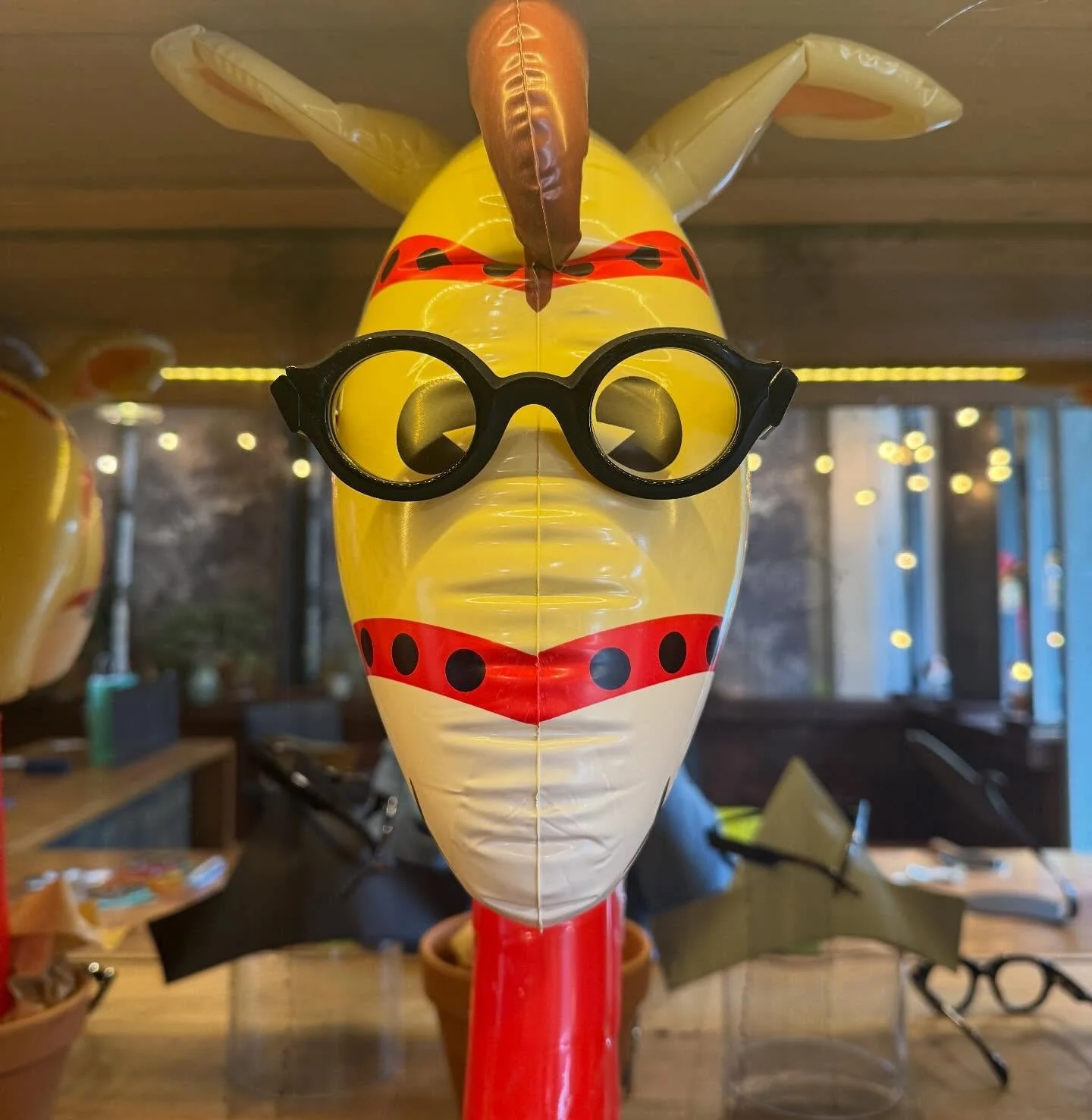 A horse is a horse of course or course @niloca_eyewear