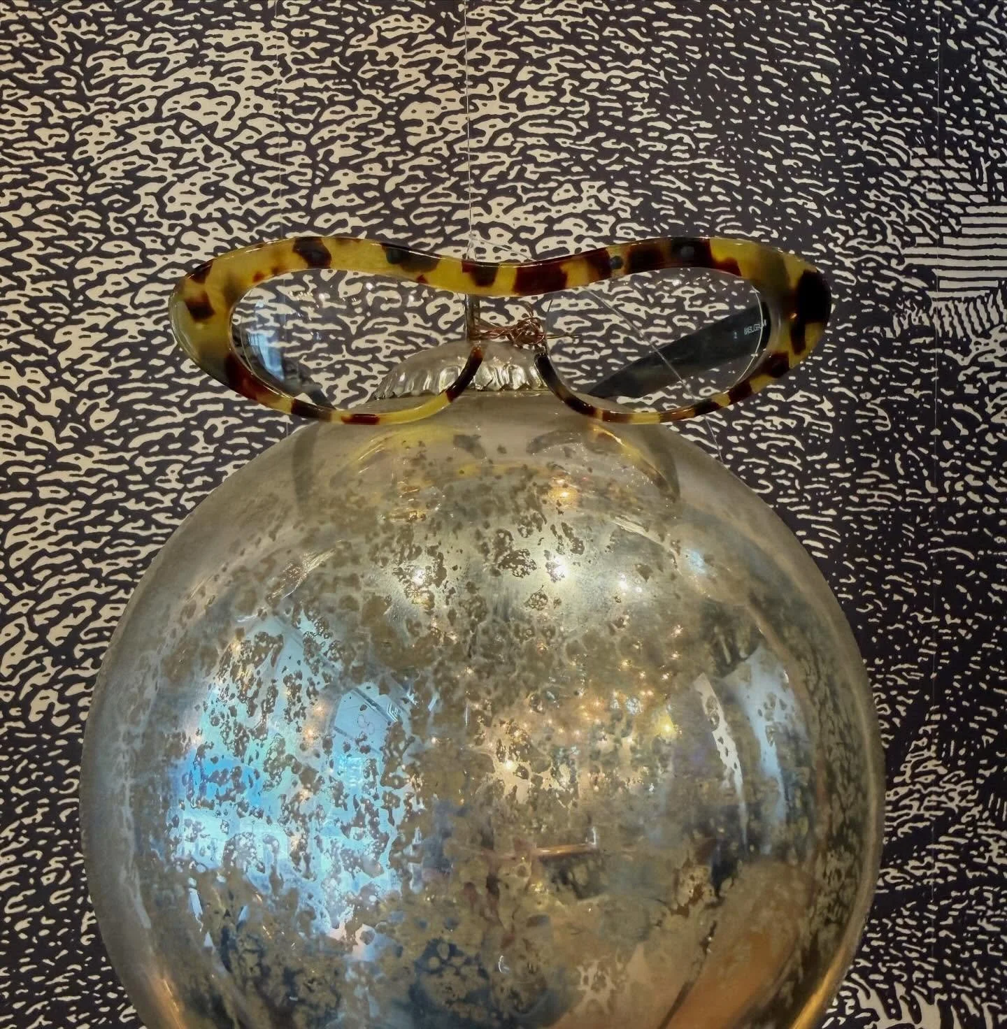 Talking tortoise @theoeyewear