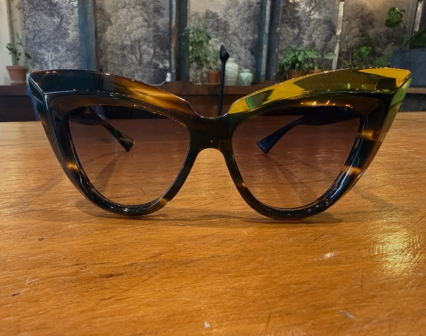 Cat call @pieromassaroeyewear