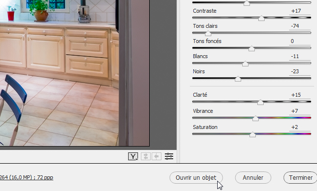 Ouvrir une image sous forme d'objet dynamique dans Photoshop depuis Camera Raw
