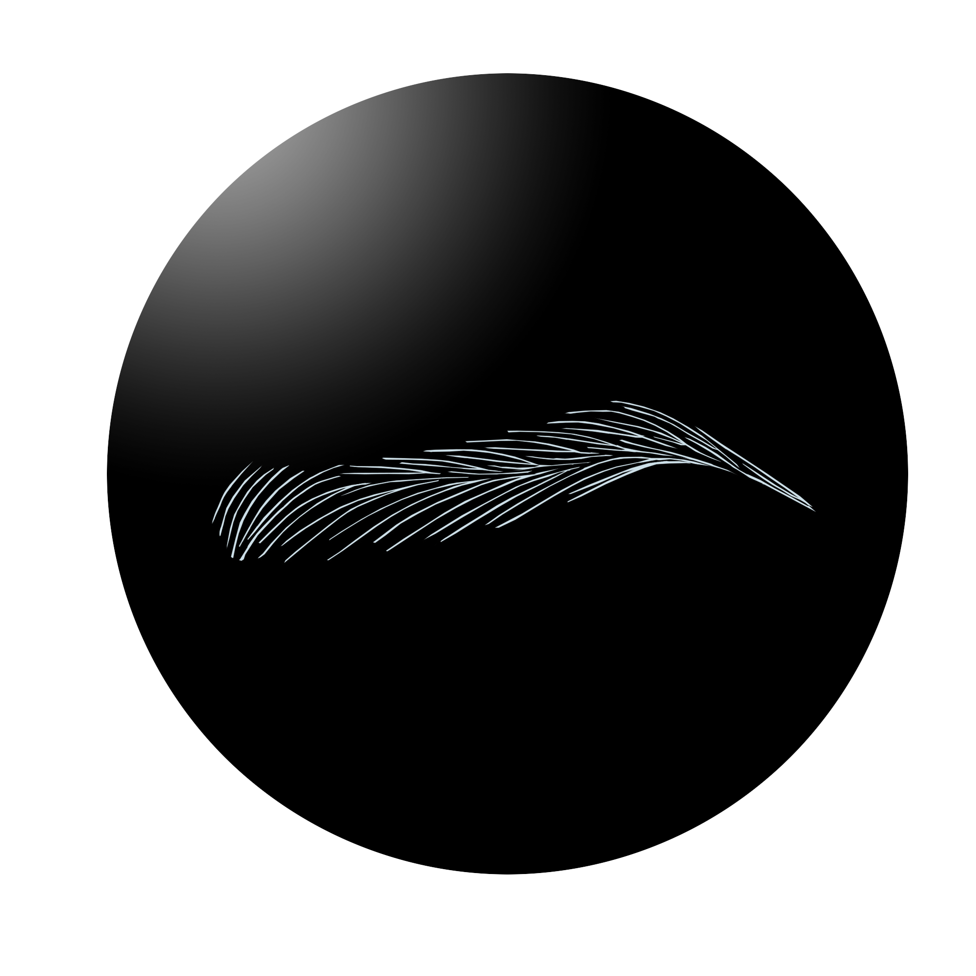 SharpBrows has created Europe ONE Brow pattern that is the most widely used brow pattern in Europe. It has become an industry standard for many artists with different backgrounds.
