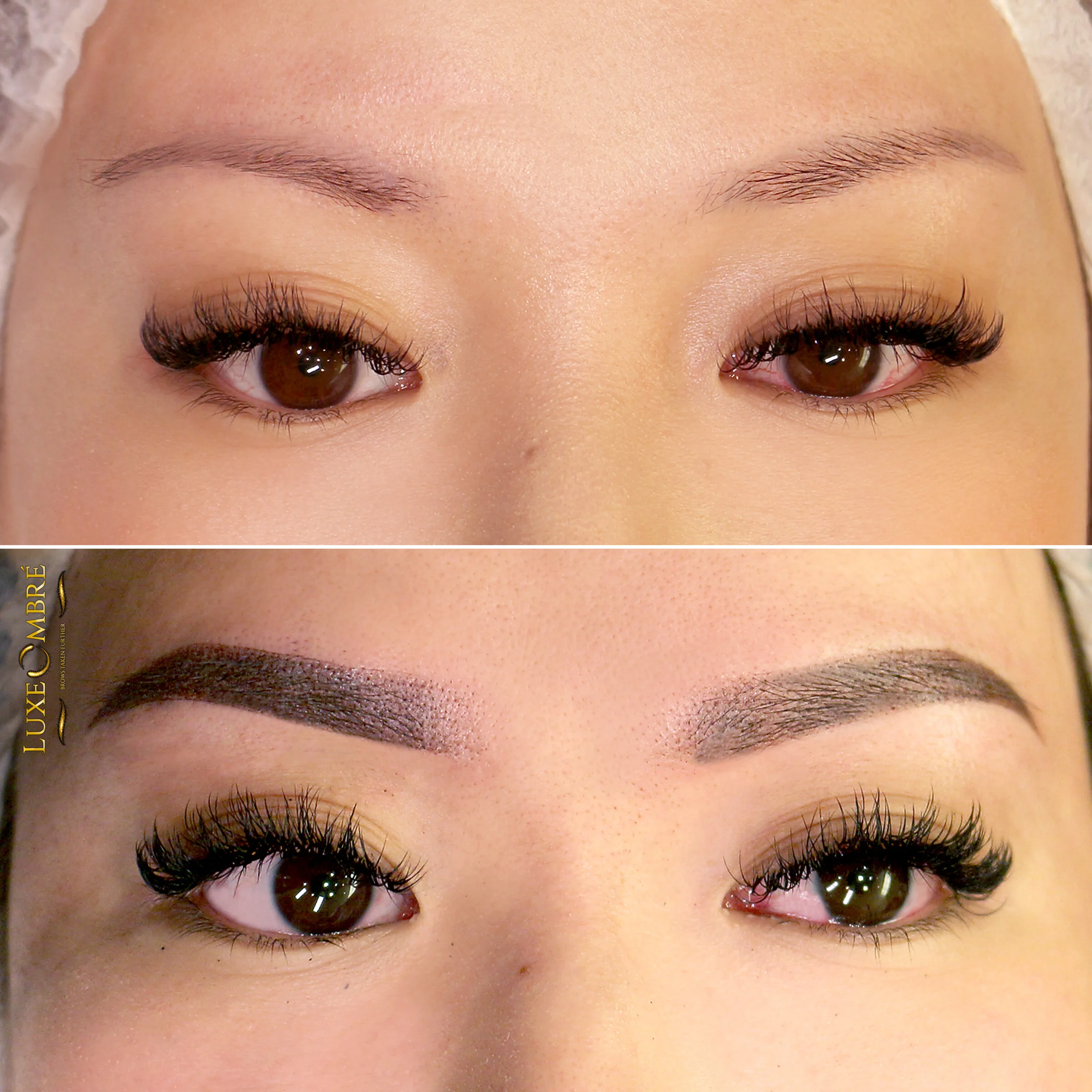 LuxeOmbre technique to ordinary and rather weak brows.