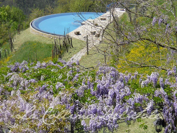 dates-may.jpg