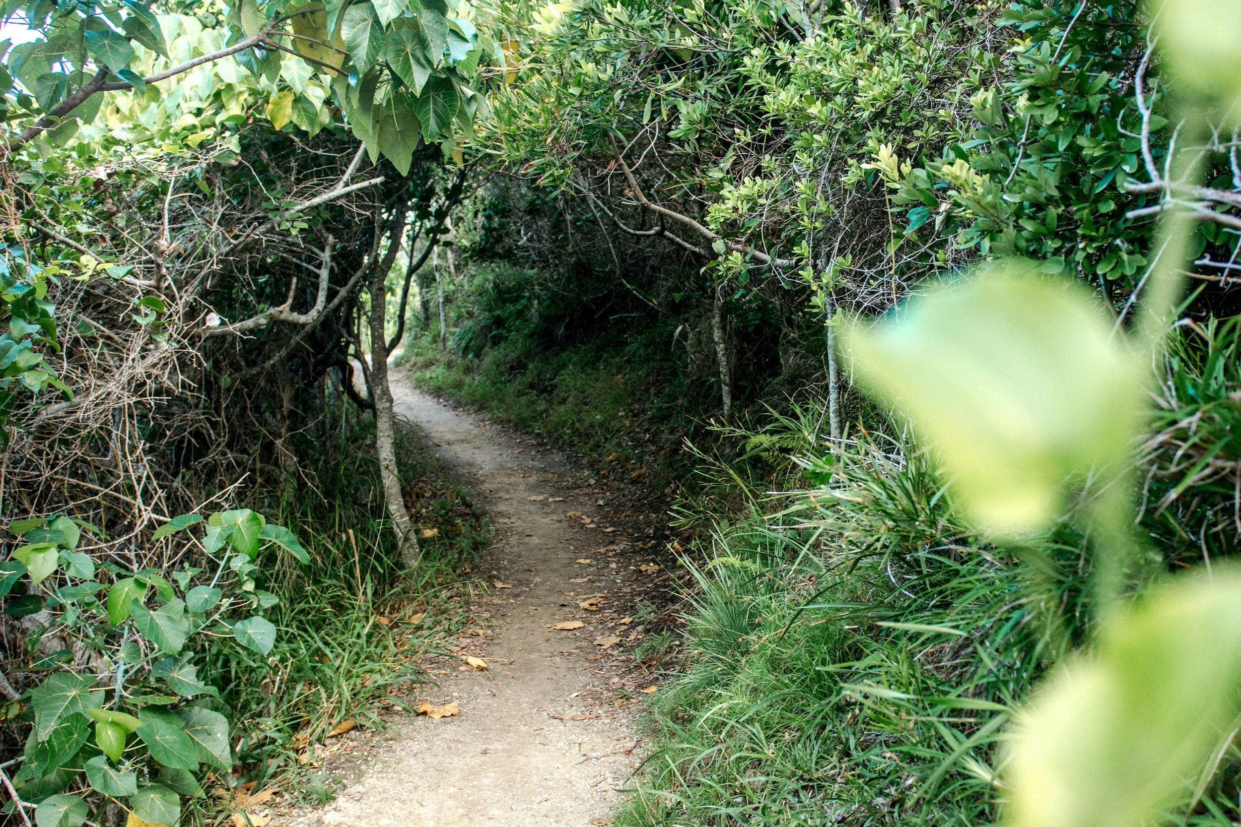Byron Bay Photographer
