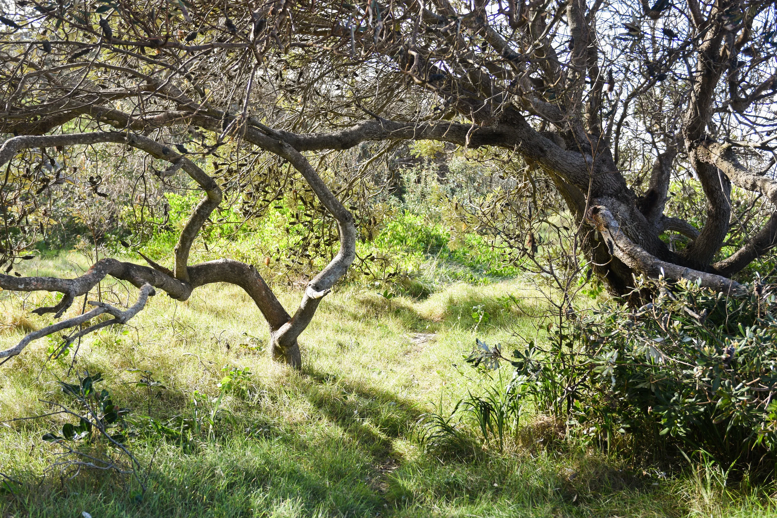 Byron Bay Photographer