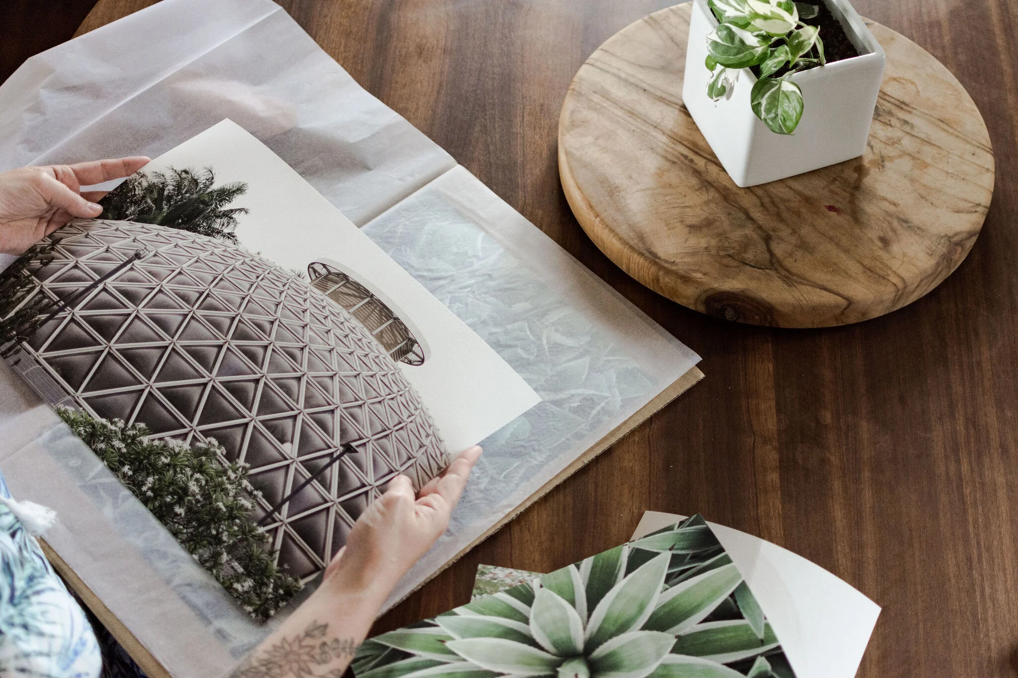 photographic prints