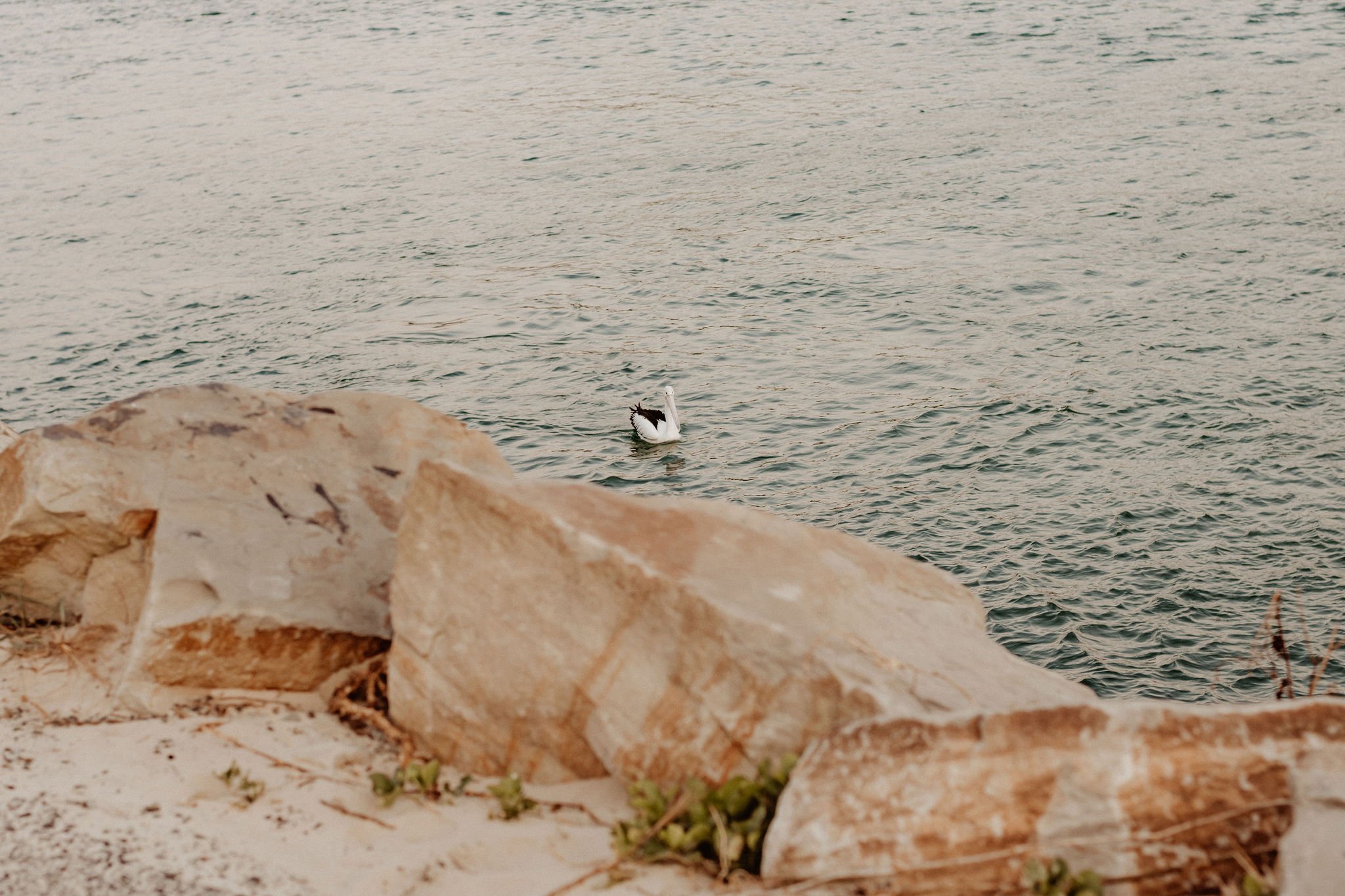 family photography Brisbane &amp; Byron Bay