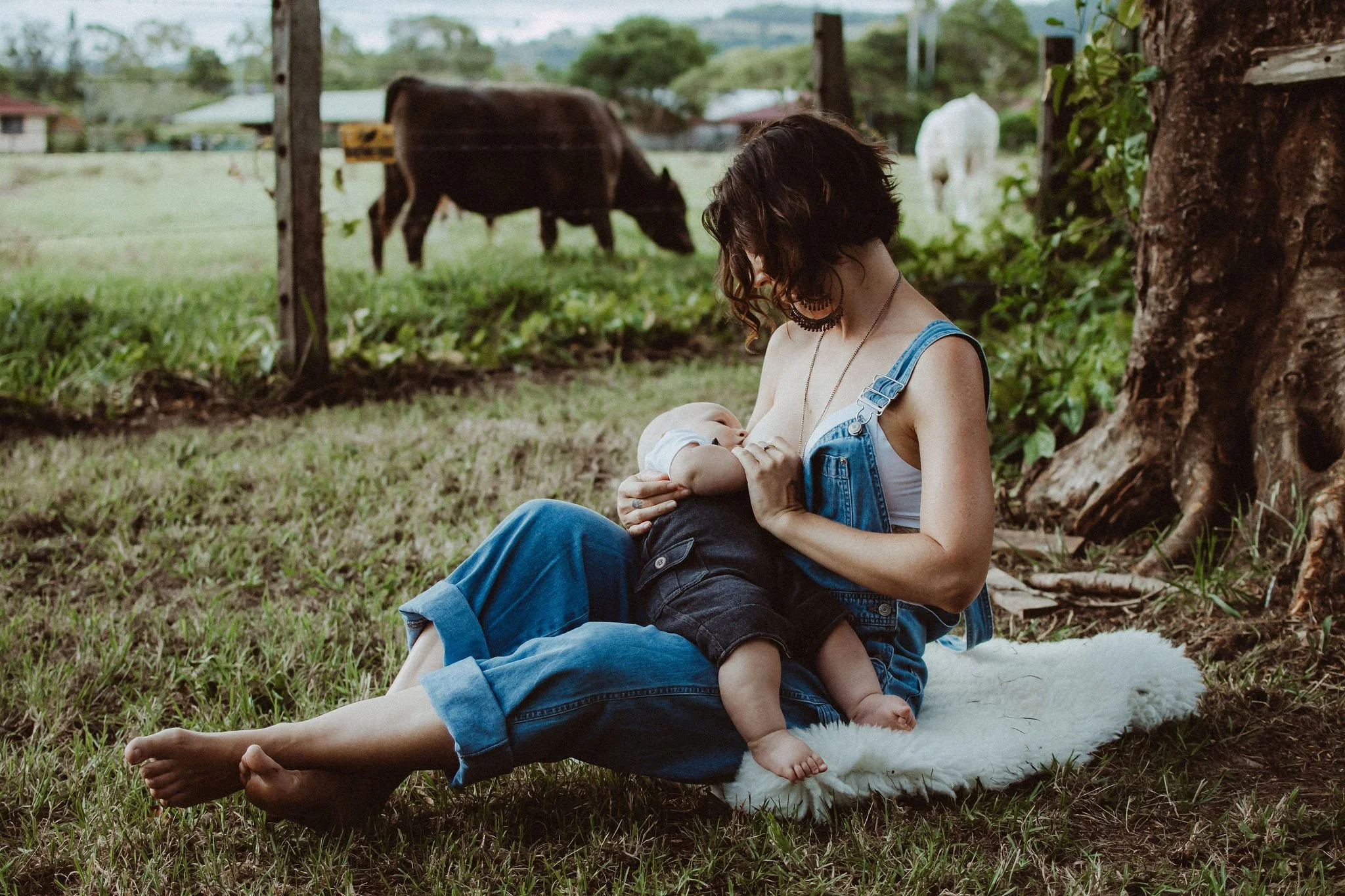 A mother sitting on the grass breastfeeding a baby near a tree, with cows grazing in the background on a farm.