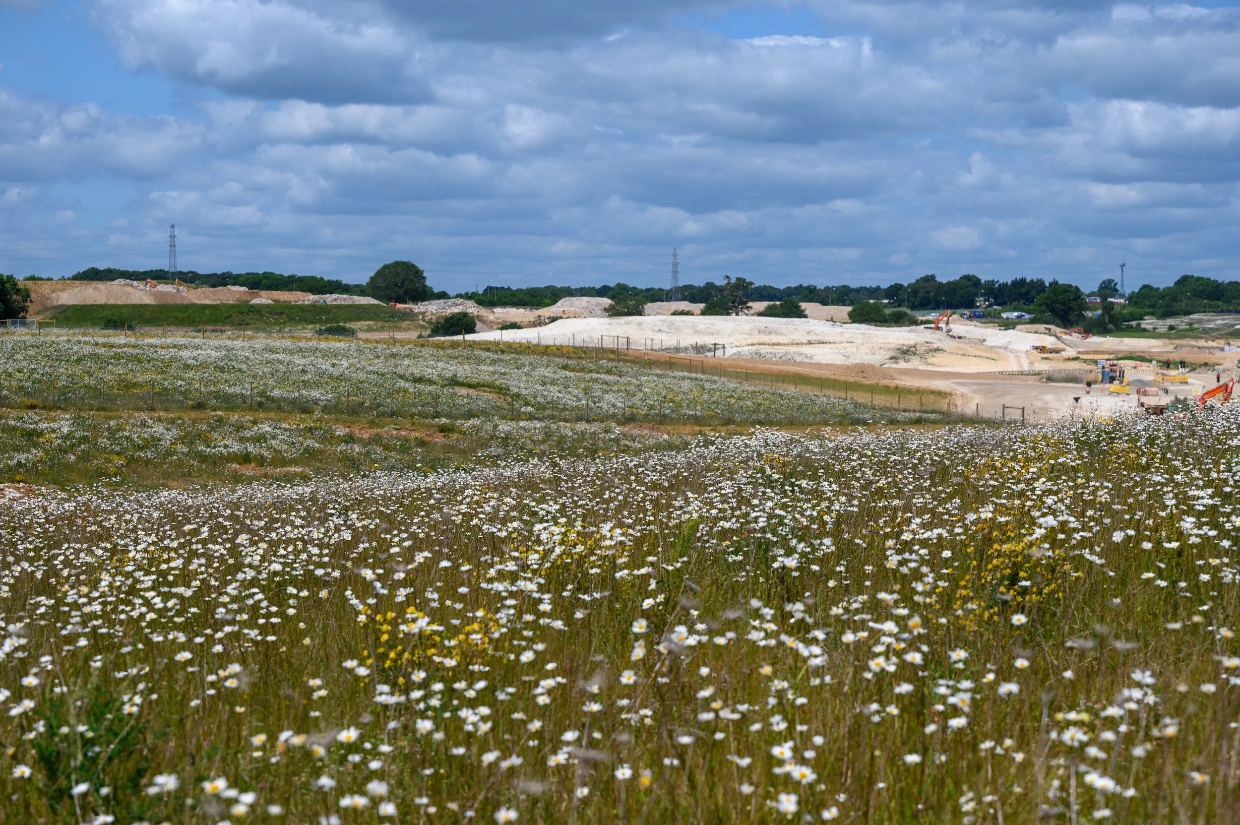  The Colne Valley Western Slopes project, will see 127 hectares of former agricultural land restored to biologically diverse grassland, reminiscent of the rare chalk downlands that are found in pockets across the Chiltern Hills. The newly landscaped 