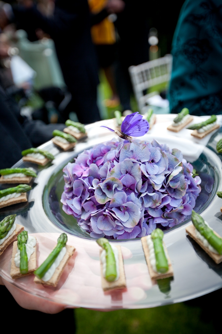 Decorated Canape Trays