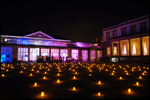 wedding lights outdoors.jpg