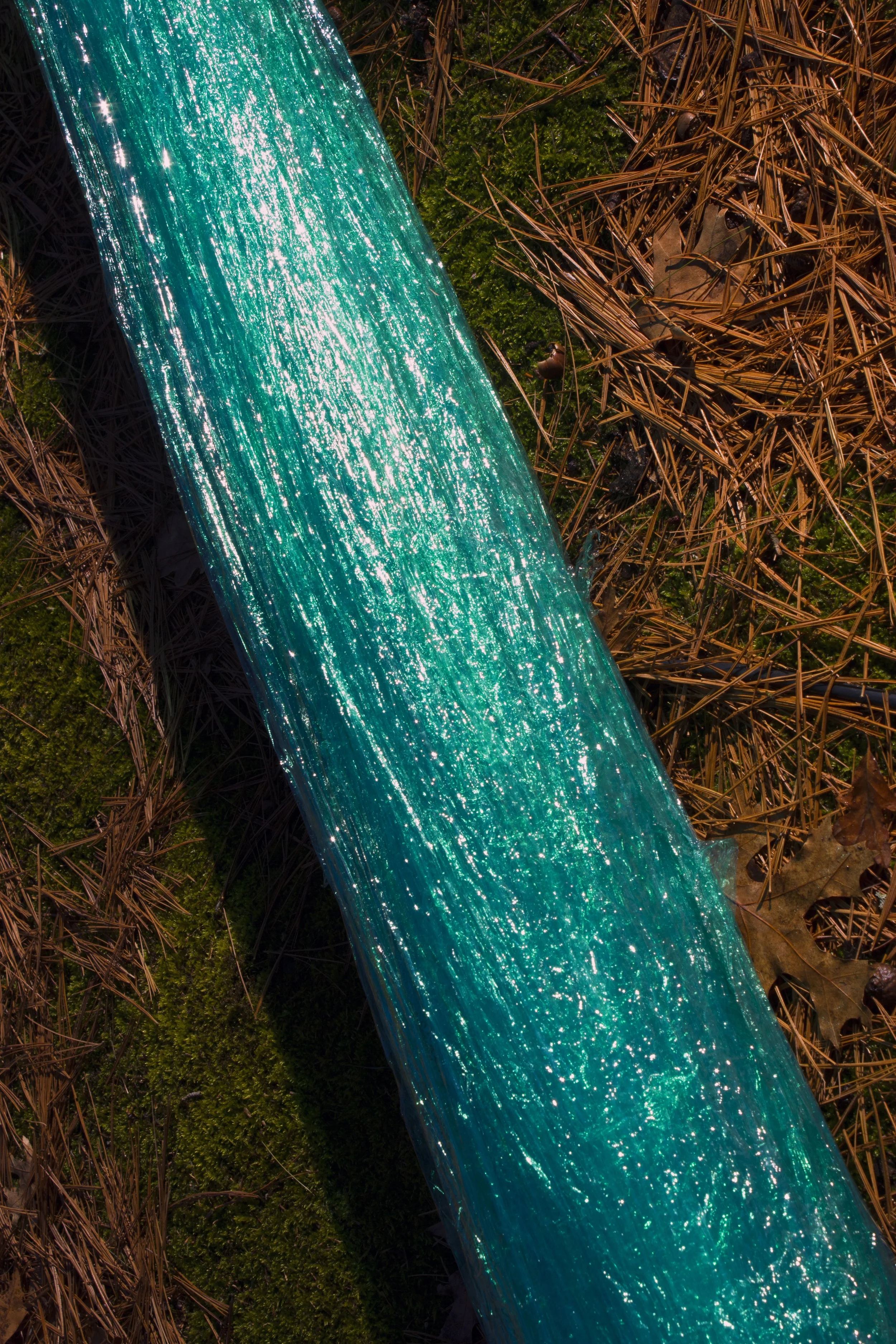 Timber, 2017