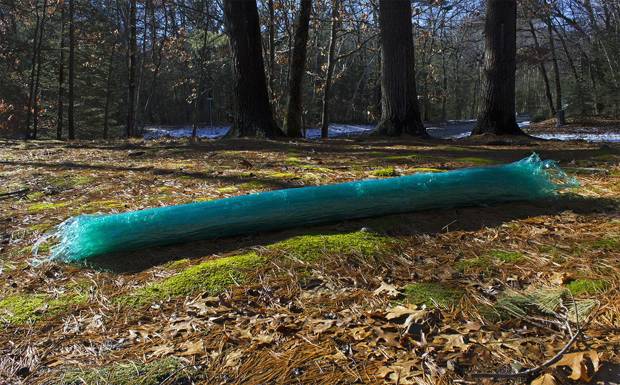 Timber, 2017
