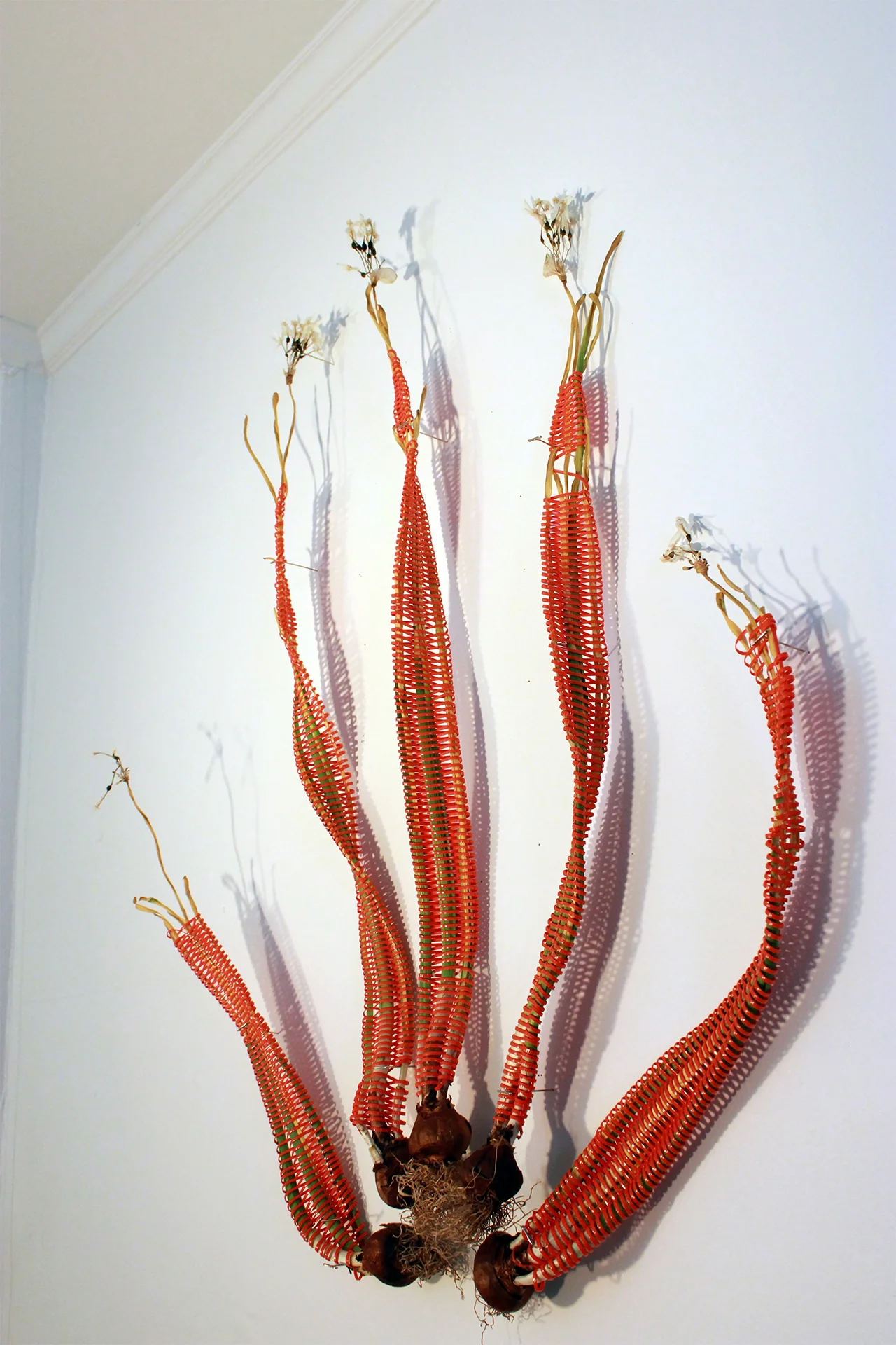Ephemerals, 2015