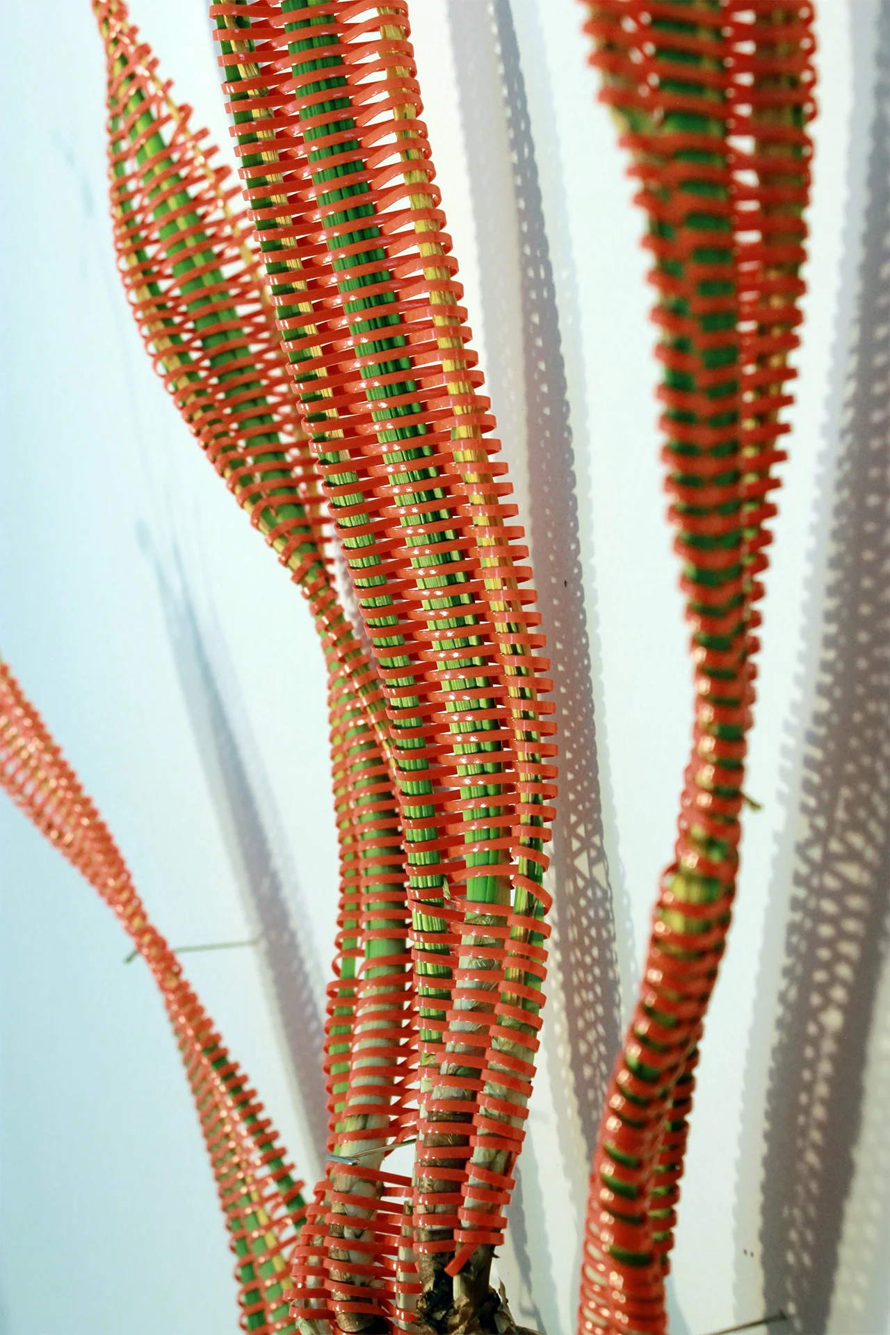 Ephemerals, 2015
