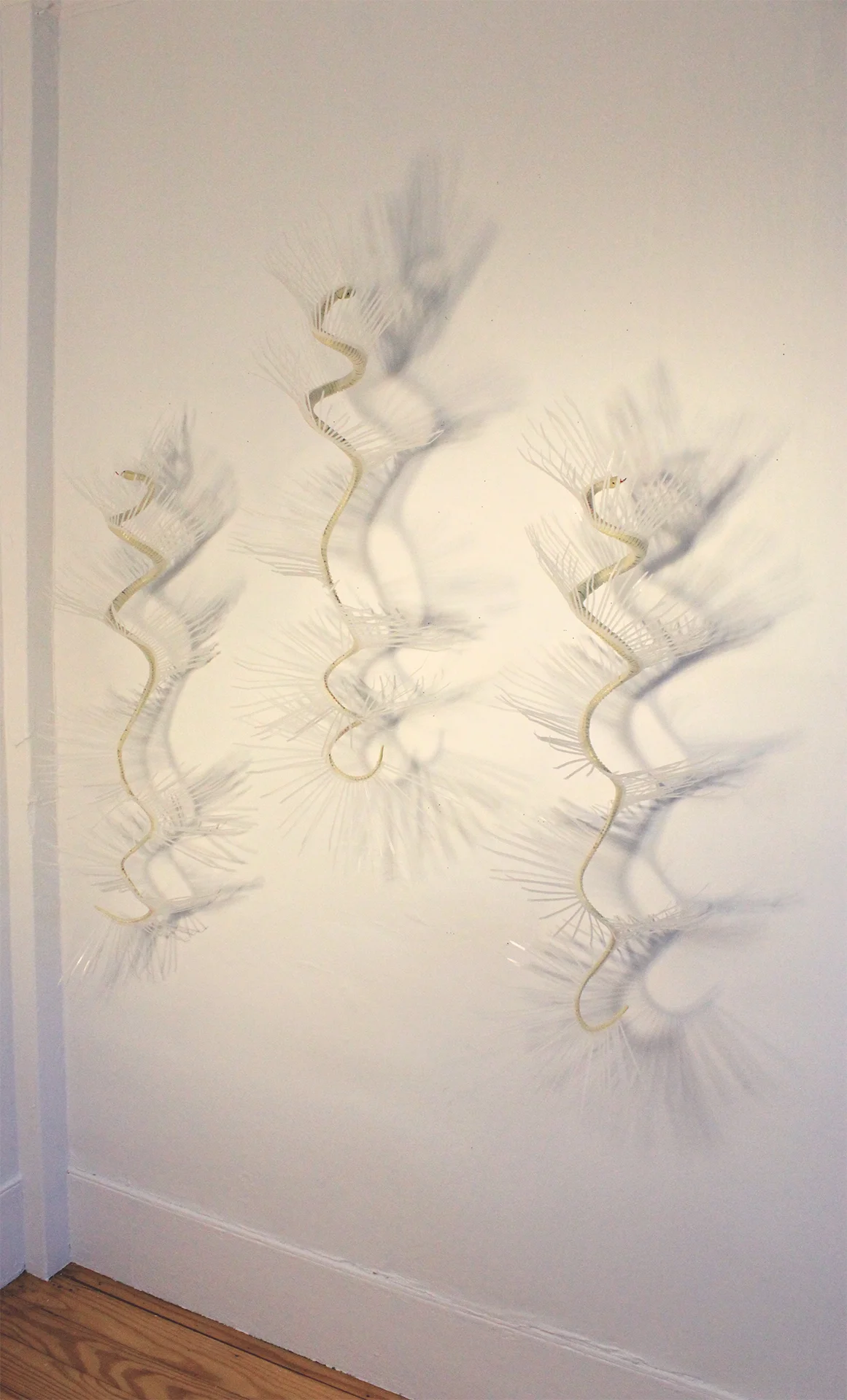 Gorgons, 2015