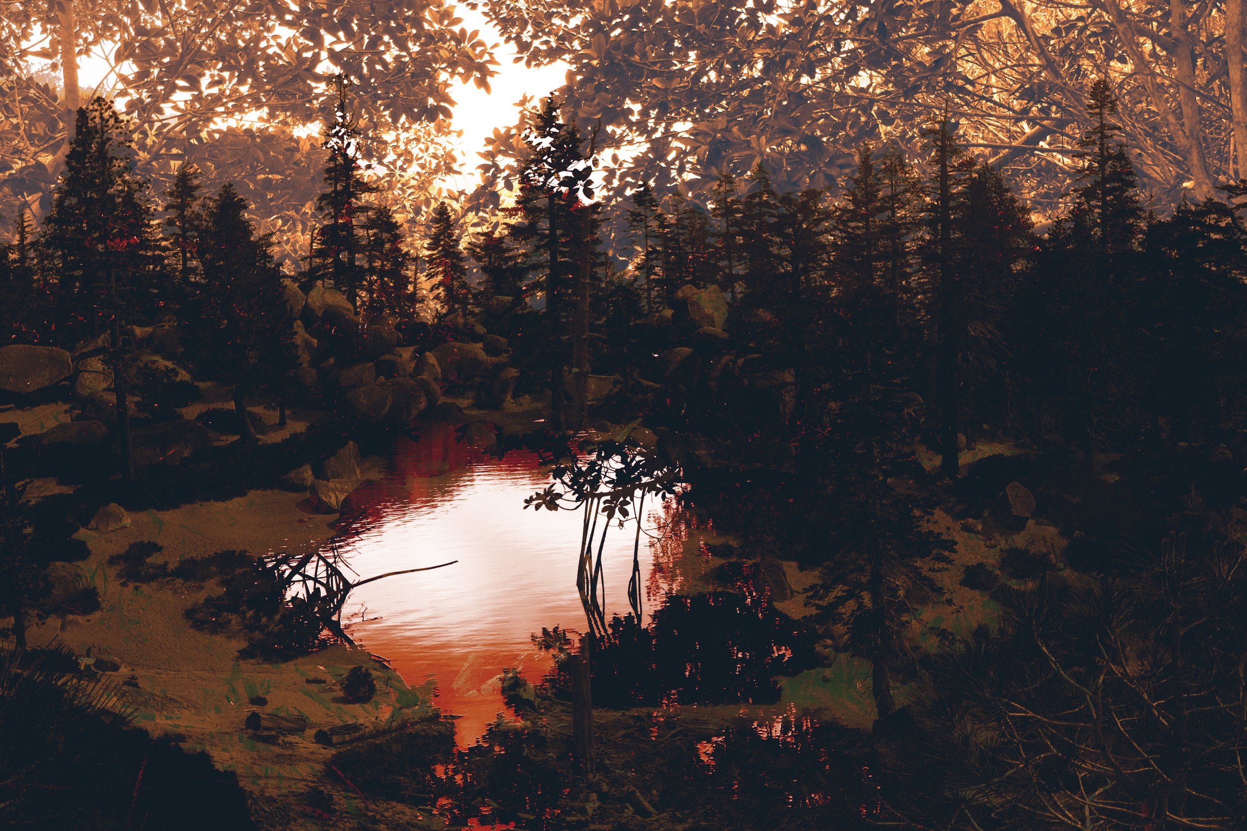 CA FL color.jpg