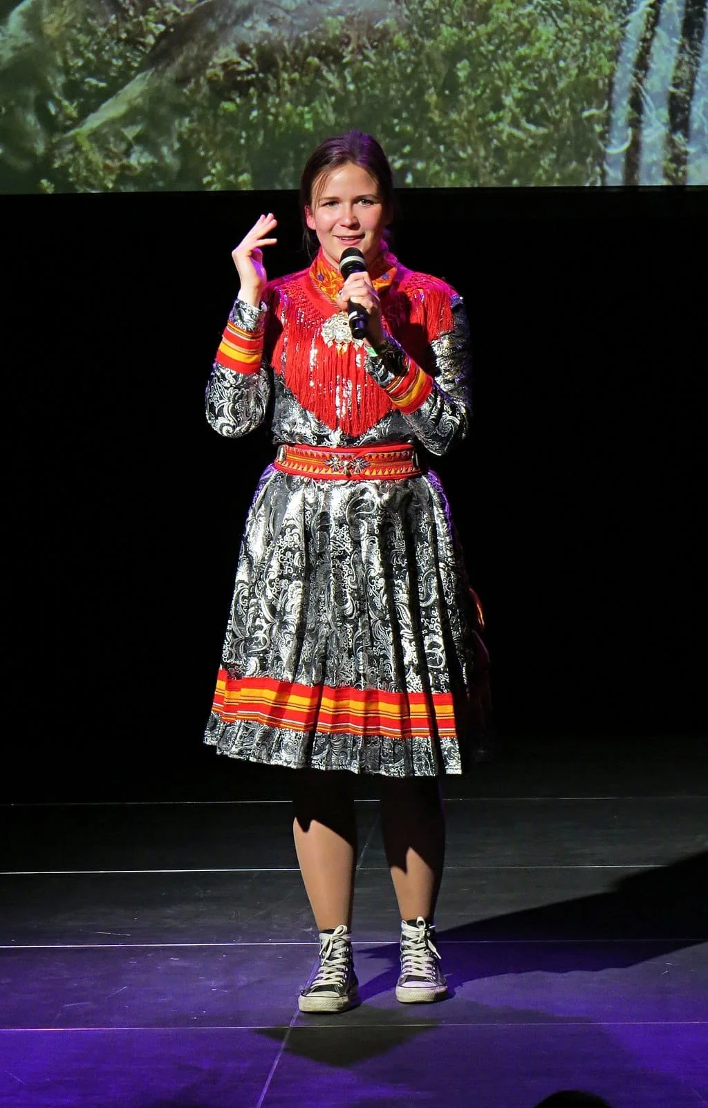 Ánná Káisá Partapuoli (Sápmi)