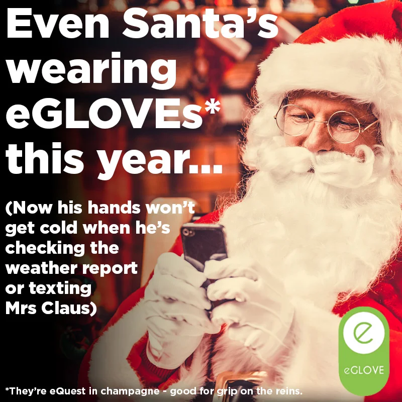 FB-Santa-16.jpeg