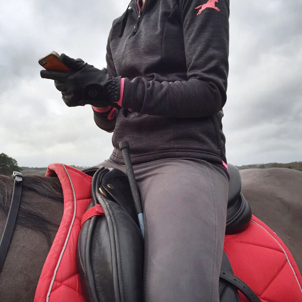 horse.jpg