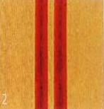 Magnified Hair - Very similar, two strands high concentration of pheomelanin