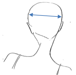 Horizontal Parting  This section runs horizontally across the head. This can be across the crown, at the nape or more commonly from ear to ear.   