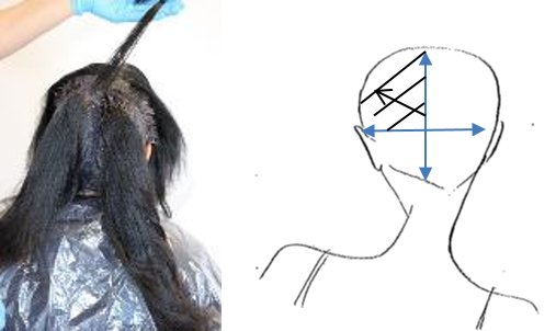 Take small diagonal sections starting at the crown area to create a triangle. Apply chosen colour to both sides of the section at the visible regrowth.