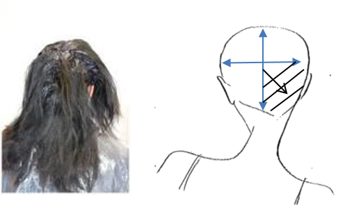 Follow the same process on the other side to complete the back section. Starting with one side of the head at a time, at the crown work in the same diagonal sections towards the hairline working away from the face.   
