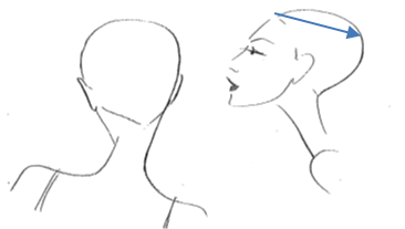 Continue horizontally from the crown to the ear on each side of the head.
