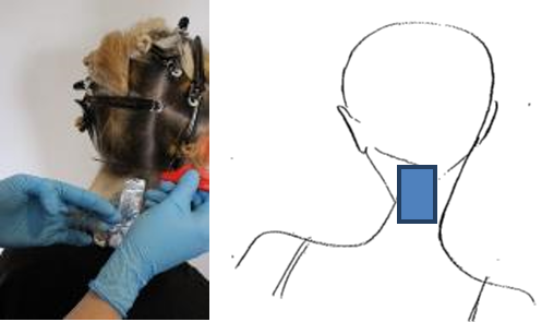 Starting at the nape at the back centre section, a slice of hair is taken by running a pin tail comb closely along the scalp and lifted up away from the rest of the hair.