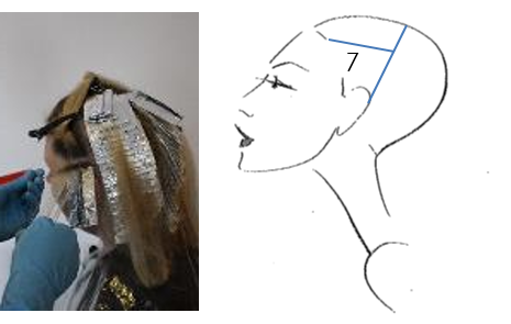 Move now to section seven and eight above each ear starting at the bottom of the section and working up.