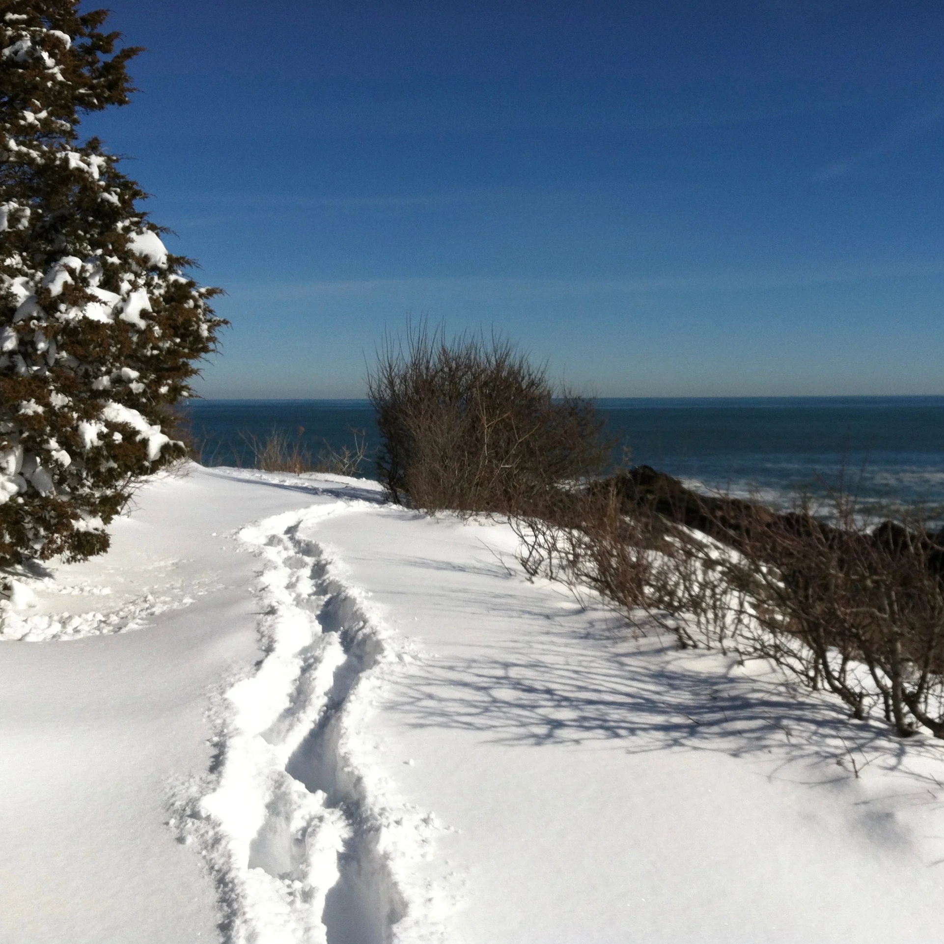 LAURA-BreakingTrail.jpg