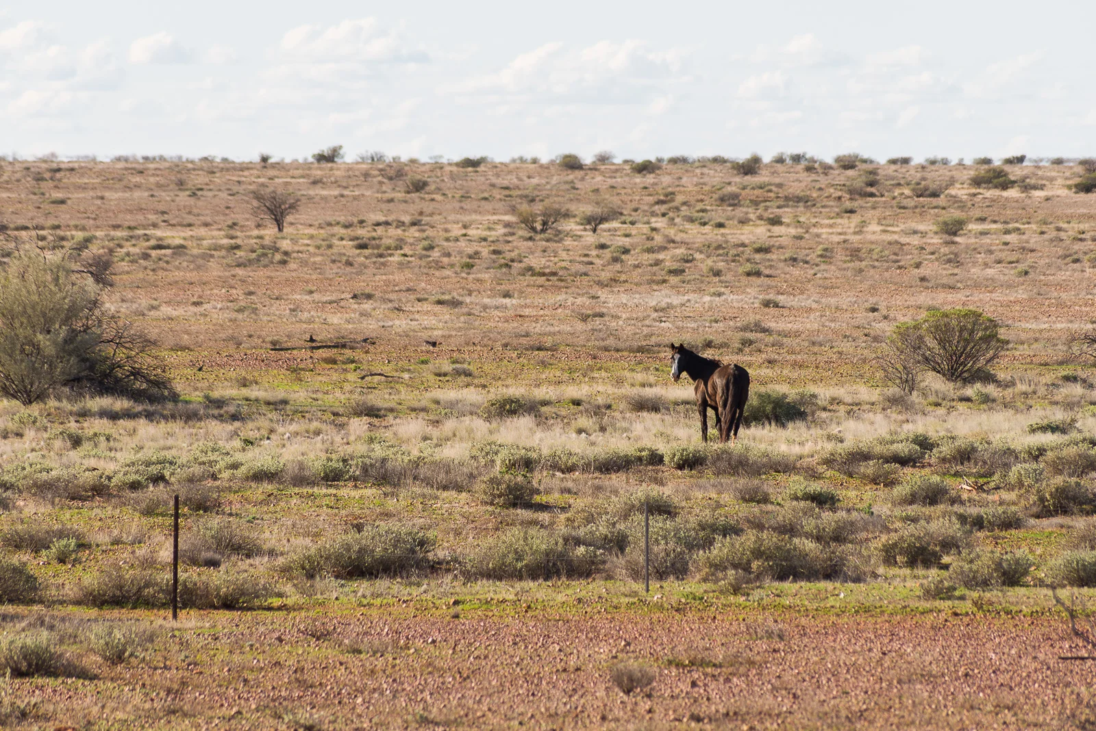 Road trip Australia-239.jpg