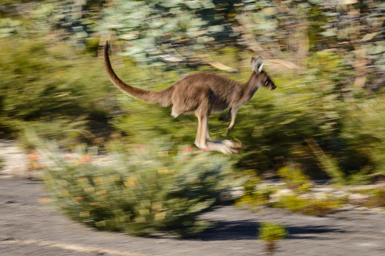 Road trip Australia-512.jpg