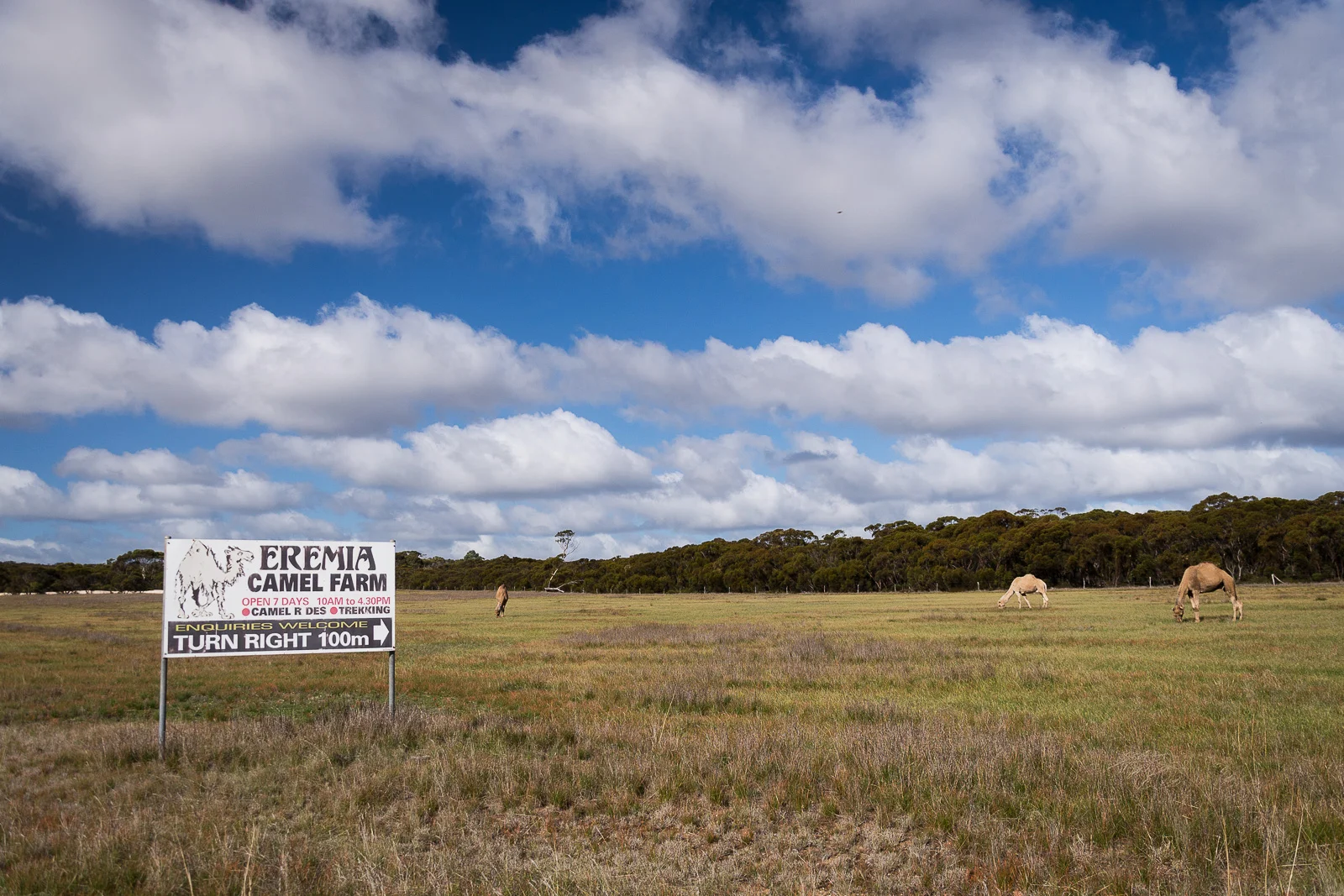 Road trip Australia-474.jpg