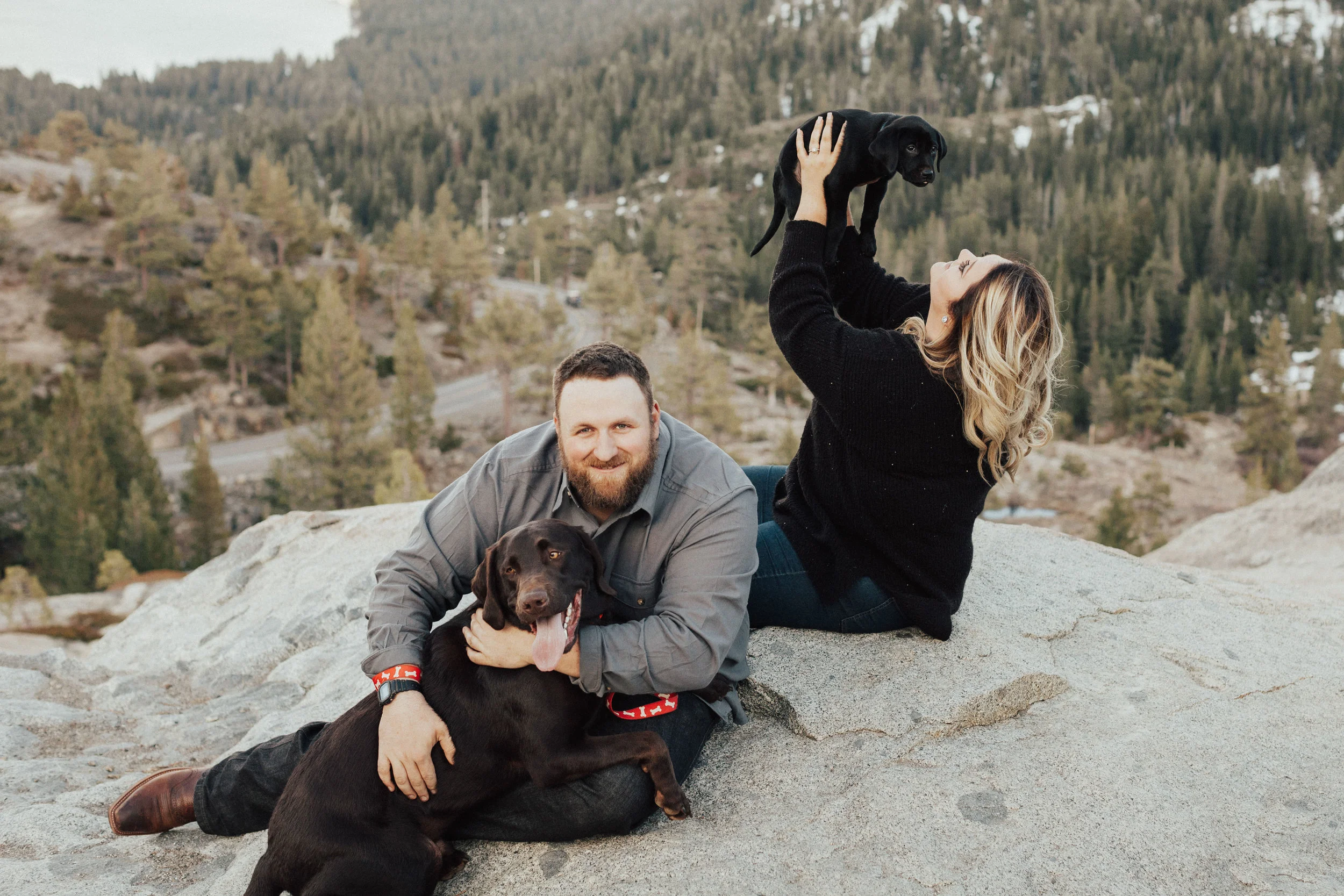 Lab puppies and engagement photos!