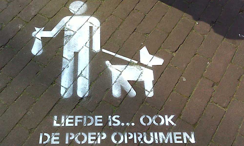 Pick-up-your-poop-chalk-public-awareness.jpg