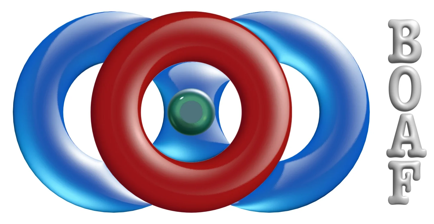 BOAF SYNTONIC OPTOMETRY - PART 1 BASIC CURRICULUM 101 - STUTTGART/GERMANY