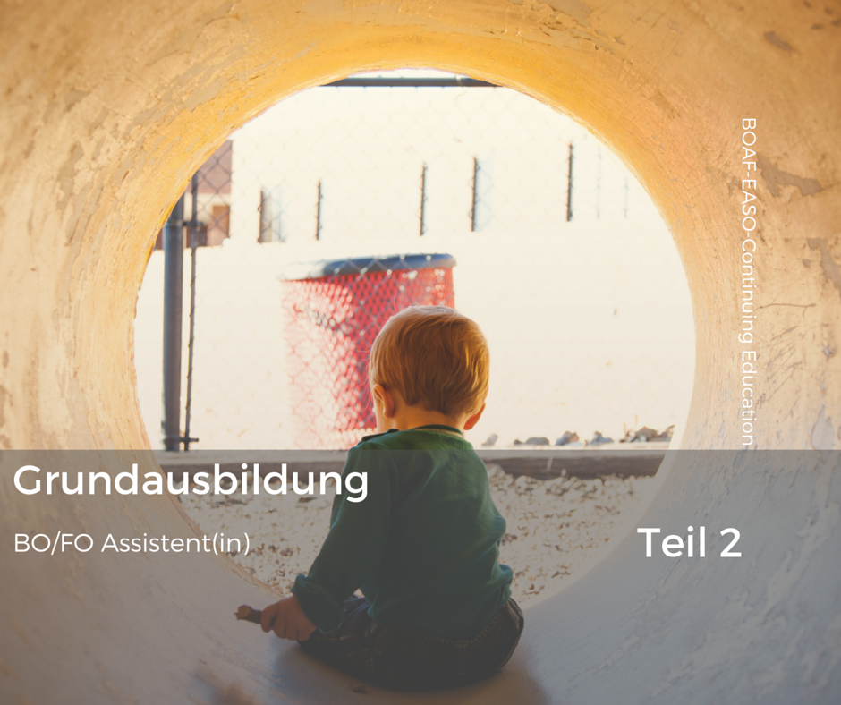 Behavioral Optometry - Assistent - Basic Curriculum Class AO2