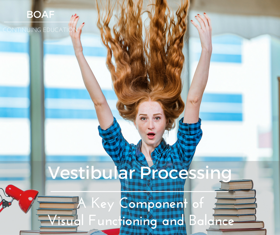 Vestibular Processing - ”A Key Component of Visual Functioning and Balance"