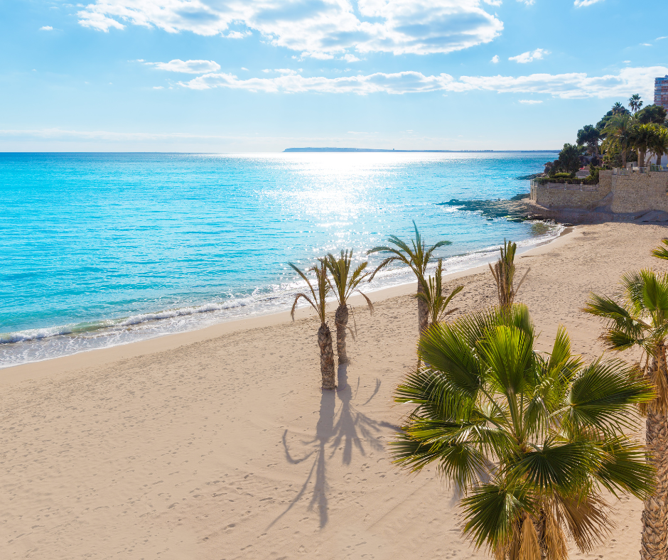 SIODEC/SIODERV INTERNATIONAL CONFERENCE - October 23-25, 2025 Alicante - Spain
