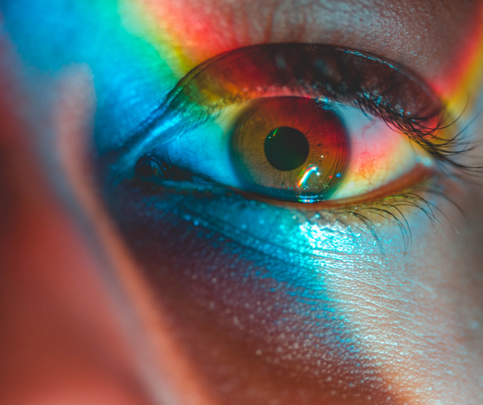 FSO Curriculum DE02.png