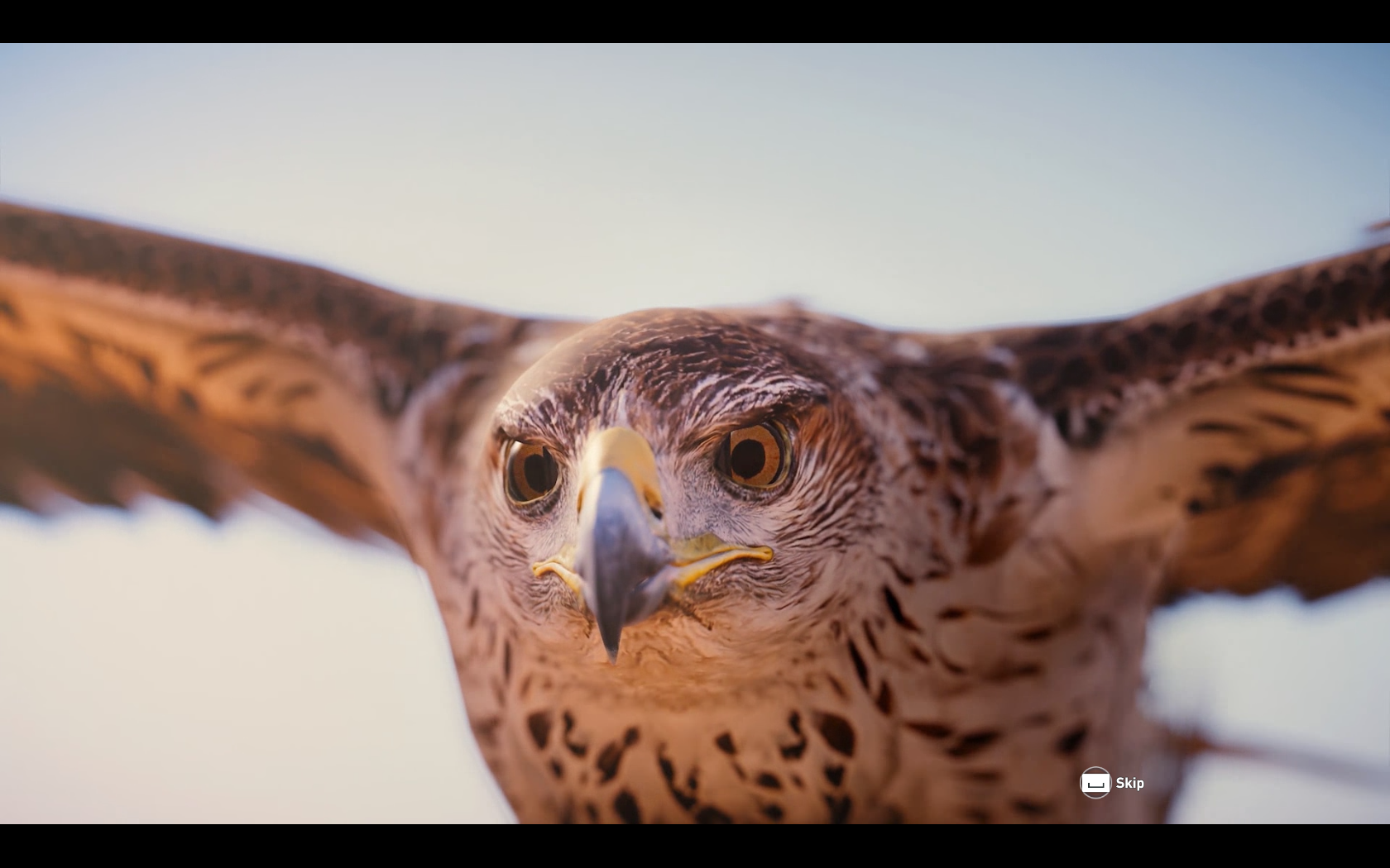 Assassin's Creed Origins Screenshot 2017.11.08 - 19.56.12.83.png