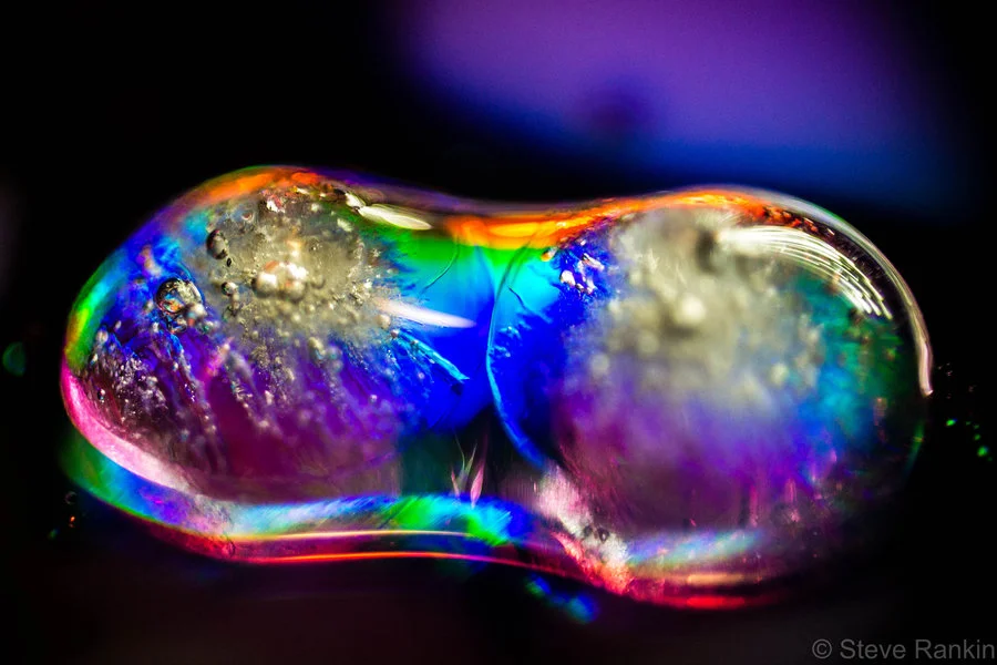 cell_division_by_cmin-d5it7wp.jpg