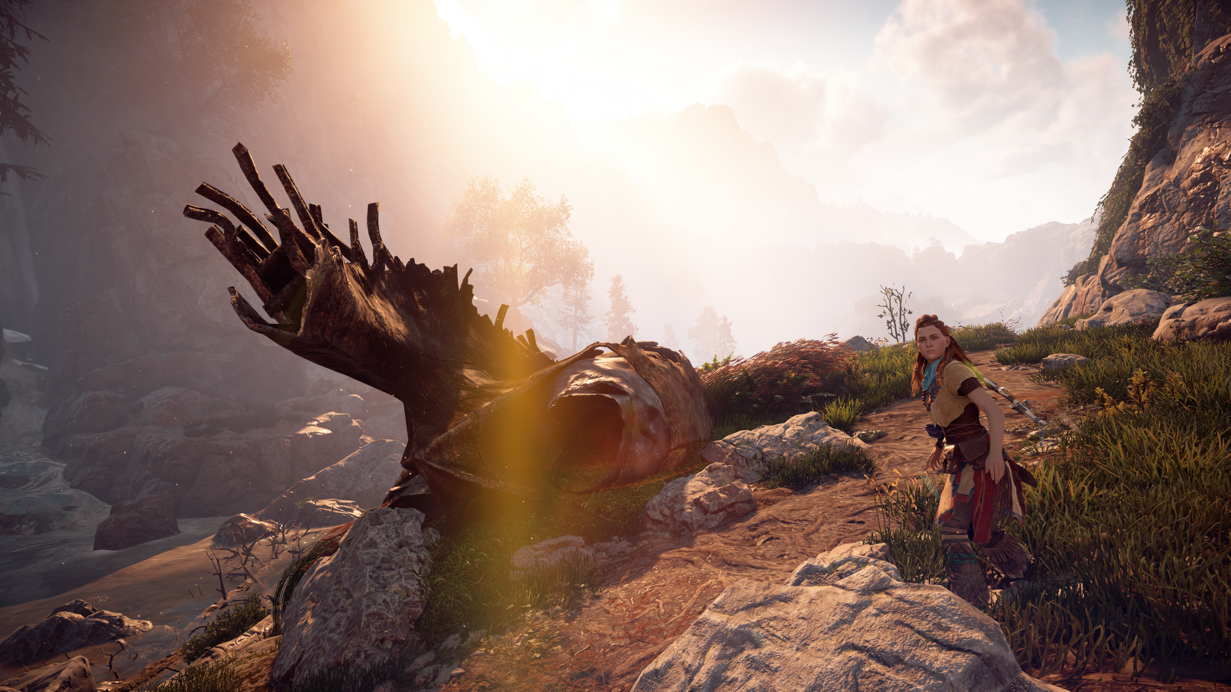 Horizon Zero Dawn Complete Edition Screenshot 2020.08.08 - 06.53.20.84.png