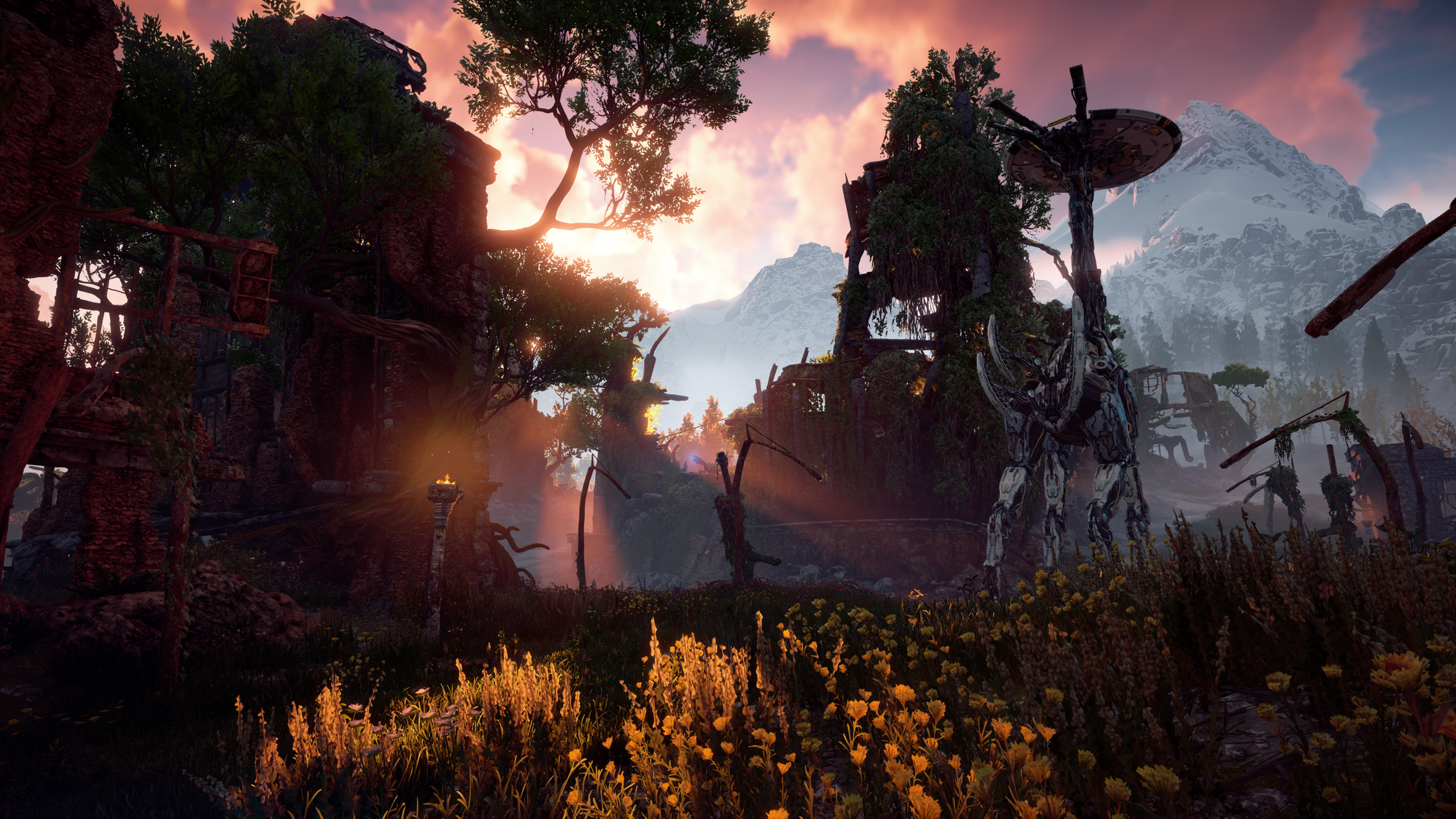 Horizon Zero Dawn Complete Edition Screenshot 2020.08.09 - 06.06.04.71.png